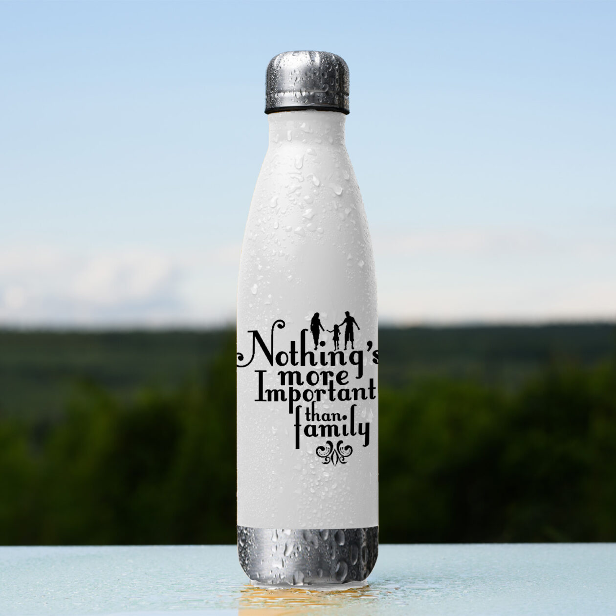 Nothing More Than Family Stainless Steel Water Bottle | Vinapa ...