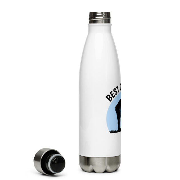 stainless steel water bottle white 17oz right 63bee86bc5e3a